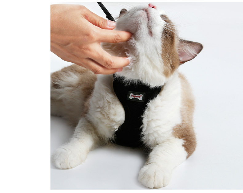 Anti-Slip Cat Walking Harness