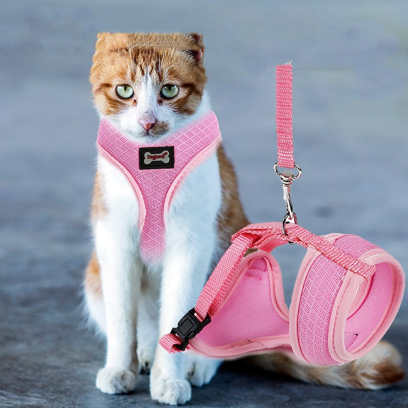 Anti-Slip Cat Walking Harness