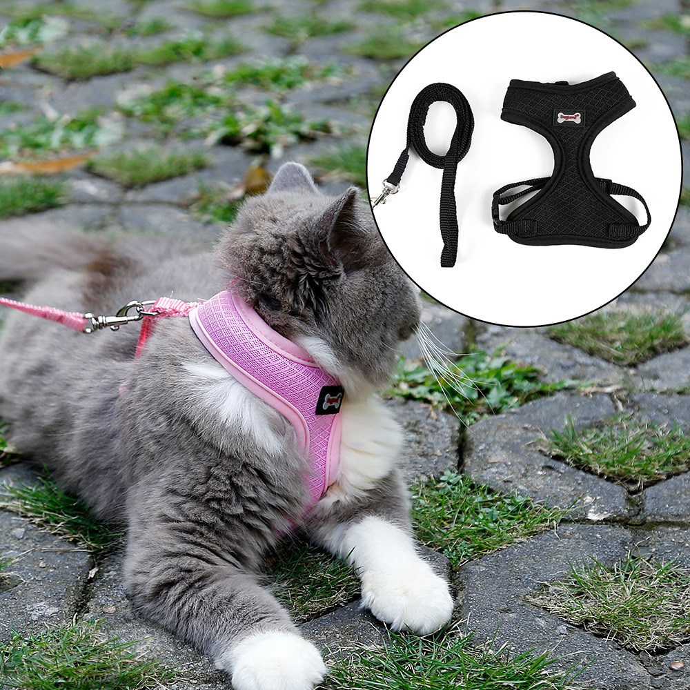 Anti-Slip Cat Walking Harness