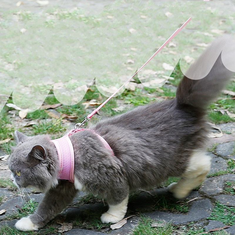 Anti-Slip Cat Walking Harness