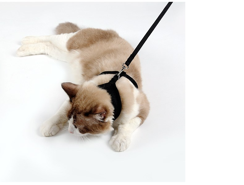 Anti-Slip Cat Walking Harness
